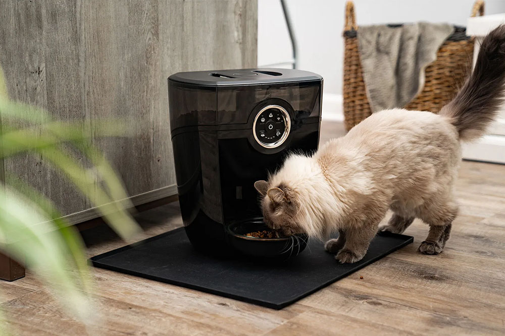 Whisker Feeder-Robot Review: Mealtime Magic for Cats and Dogs