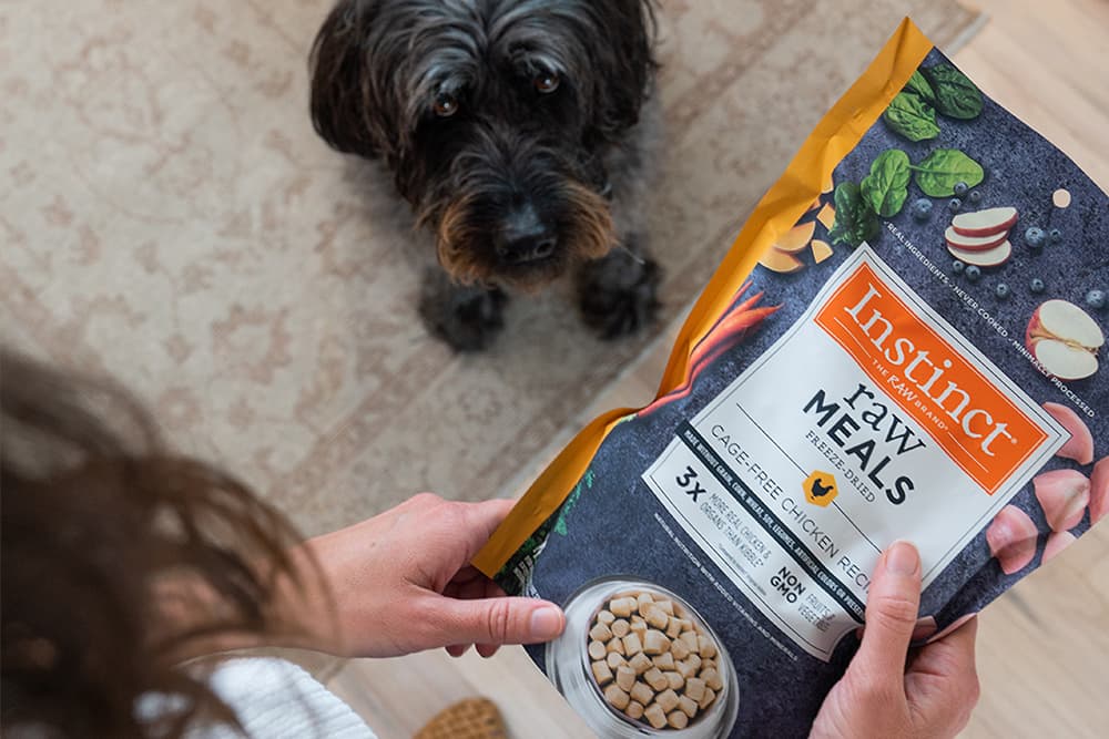 Review: Instinct Frozen Raw Dog Food