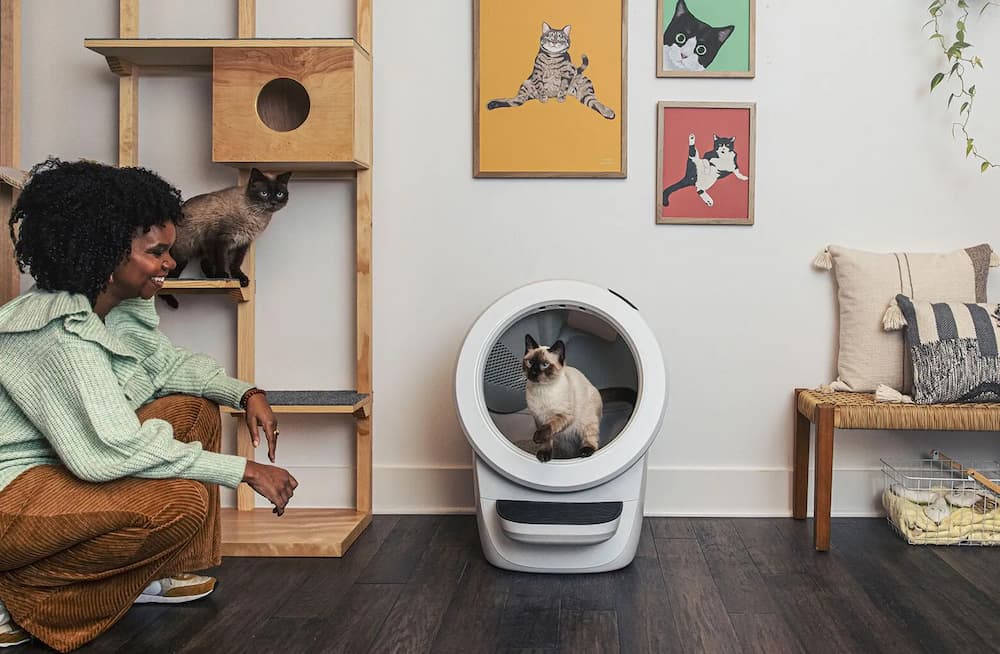 Litter-Robot 4 self-cleaning litter box for cats