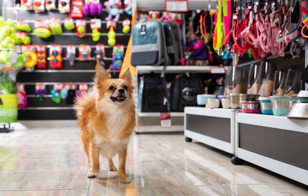 Best National Pet Month Deals at Walmart Throughout May 2023