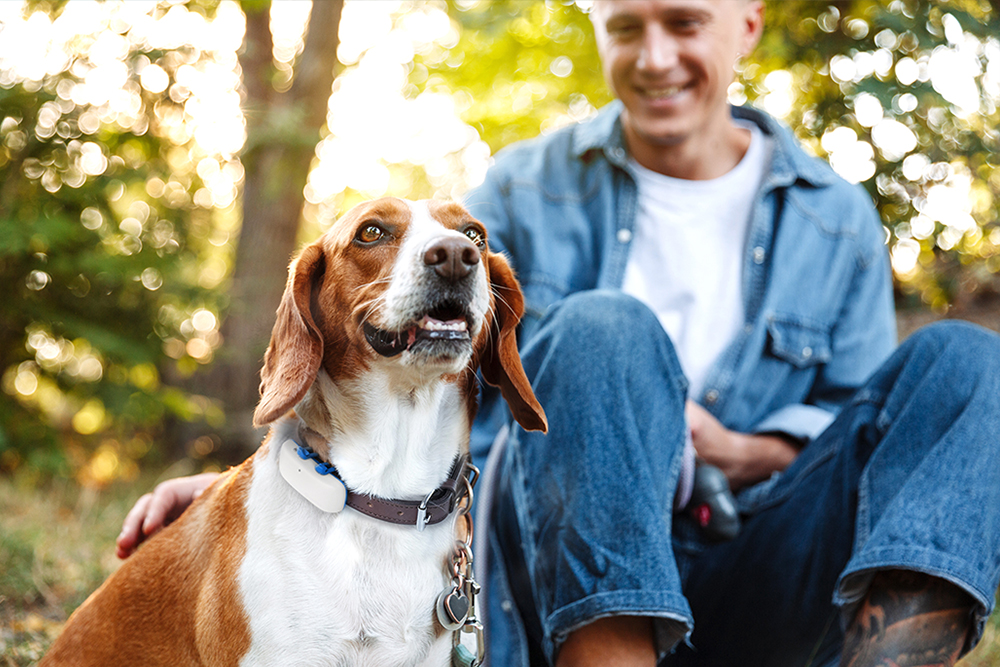 Tractive GPS Pet Tracker Review: A Must for Your Dog