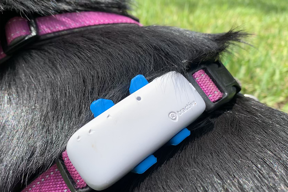 Tractive GPS Pet Tracking