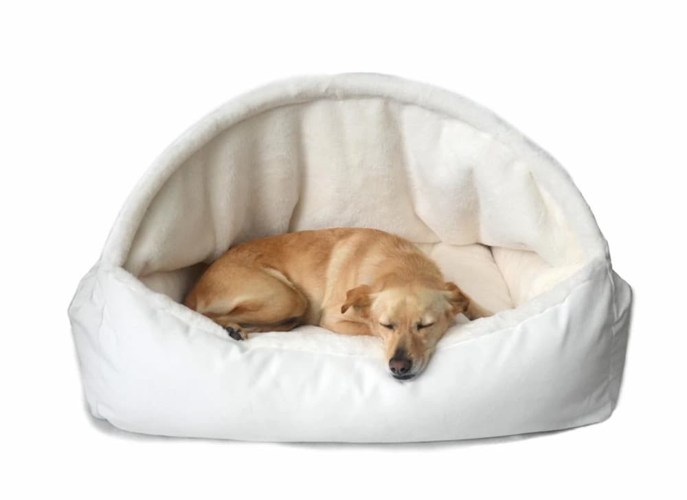Canopy Dream Fur Dog Bed