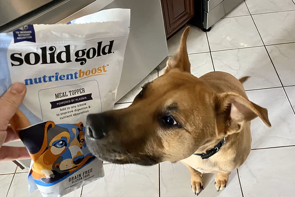 Solid Gold Nutrient Boost Wee Bit, Bison Recipe, Dry Dog Food