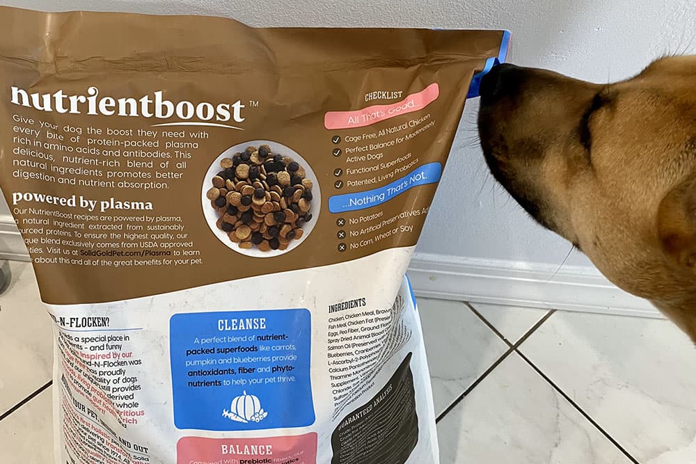 Dog sniffs bag of Nutrientboost