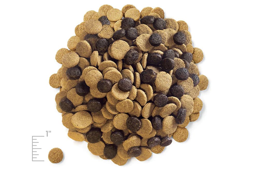 picture of kibble dog food