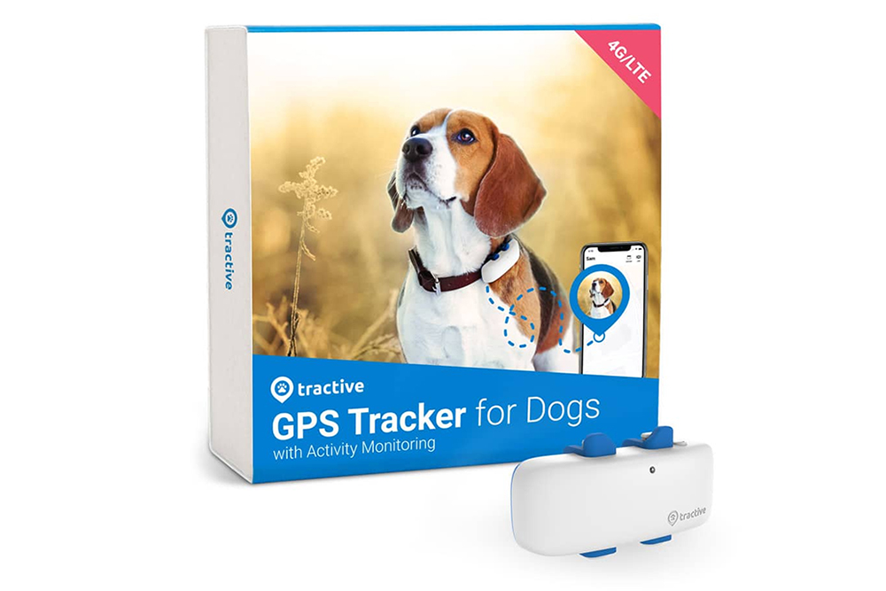 Tractive GPS Pet Tracker Review: A Must for Your Dog - Vetstreet