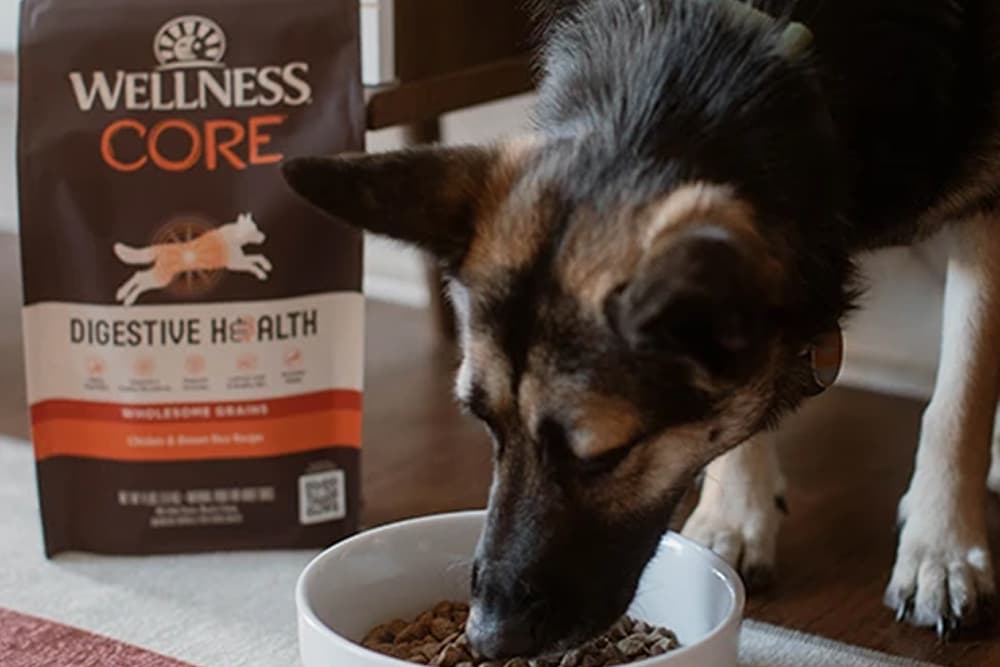 Wellness CORE Dry Dog Food Review