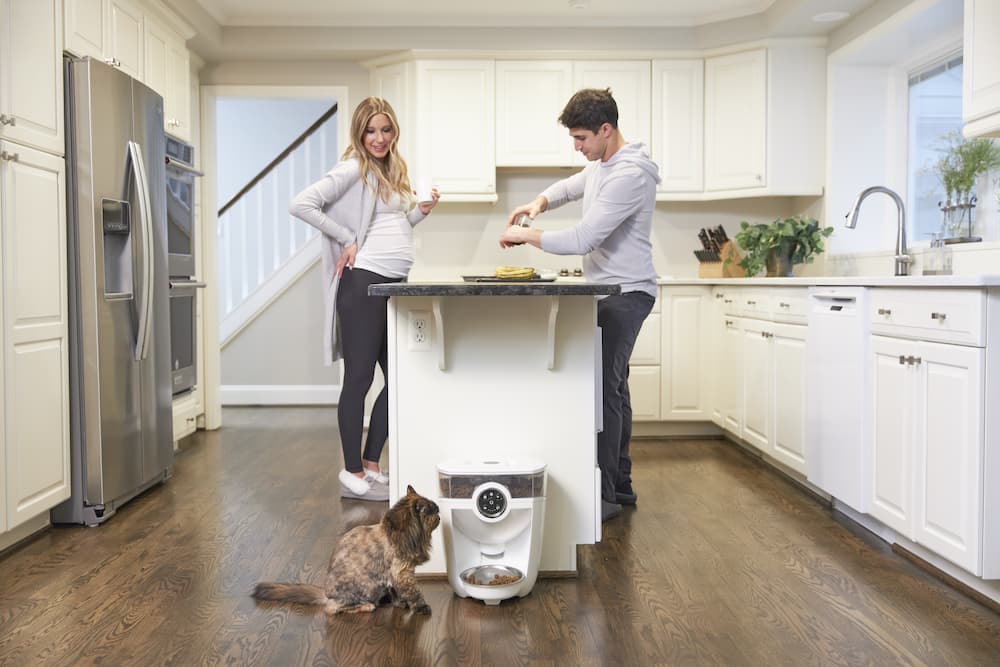 Feeder robot at home with cat and owners