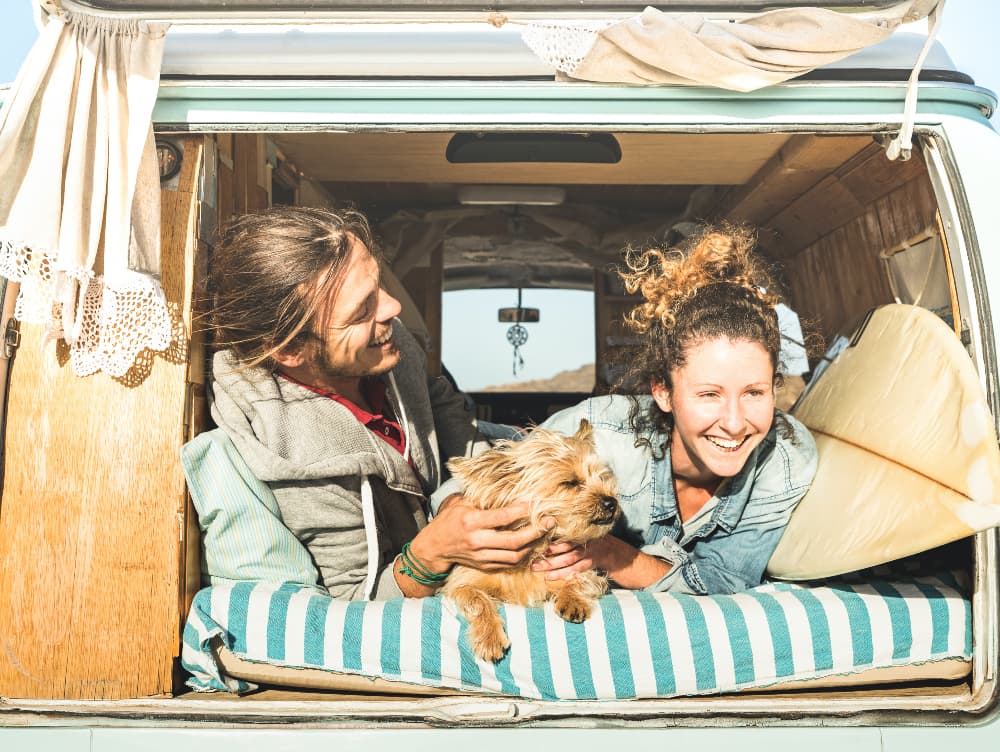 The Ultimate Guide to Taking a Road Trip With Your Dog