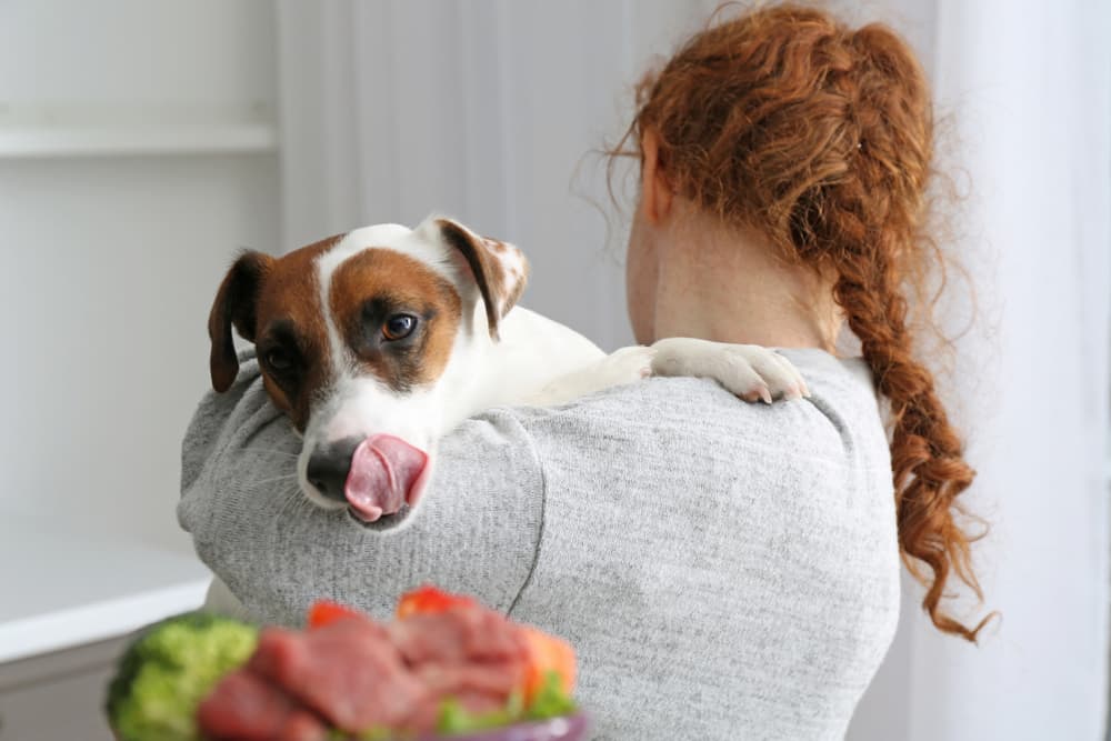 8 Raw Dog Food Diet Mistakes