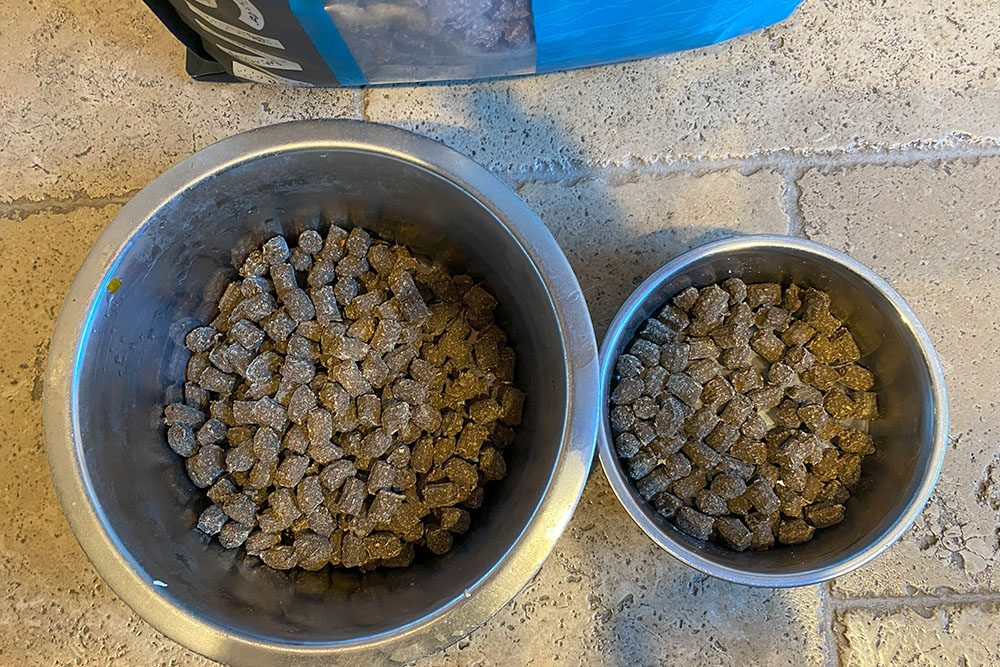 air-dried dog food two bowls side by side