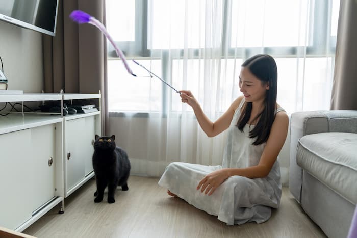 woman playing with a black cat to help soothe the cat's nerves