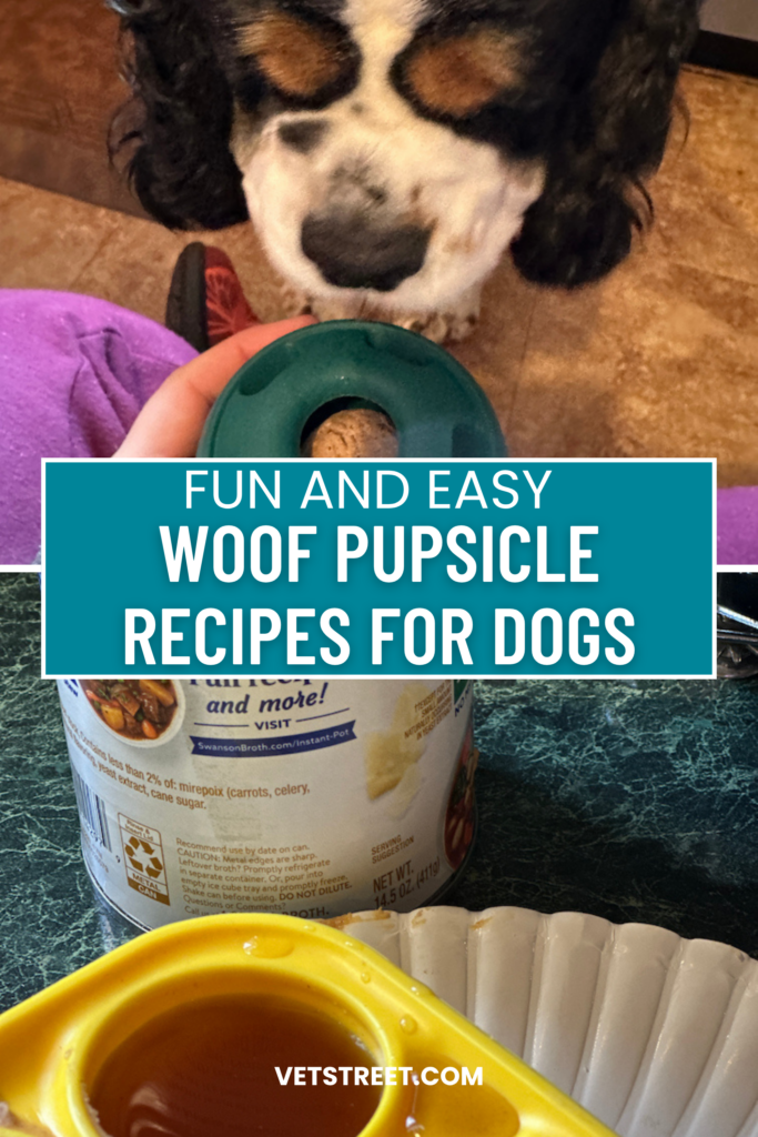 FUN AND EASY WOOF PUPSICLE RECIPES