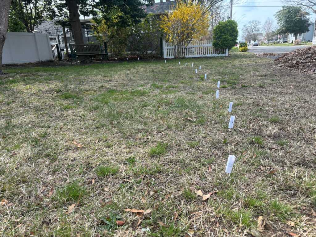 backyard set up with flags for PetSafe Wireless Fence