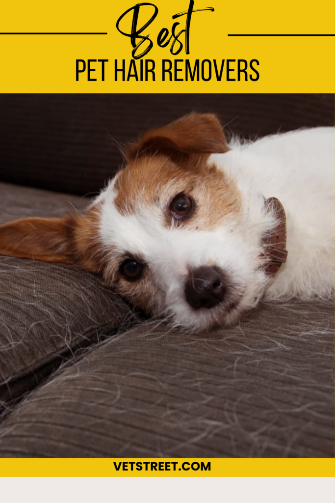 Best pet hair removers