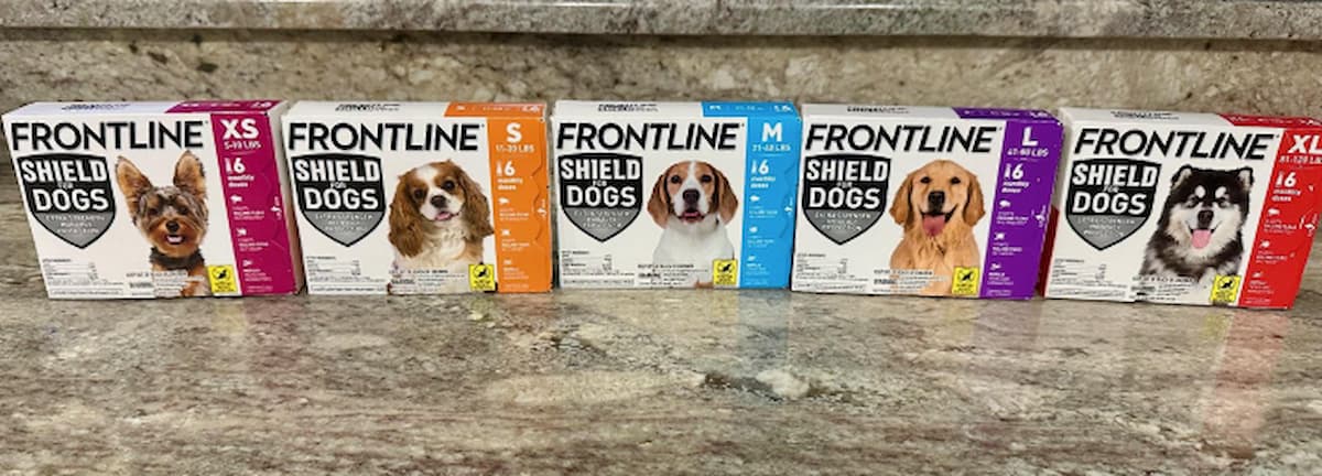 FRONTLINE Shield for Dogs: A Pet Parent’s Honest Review