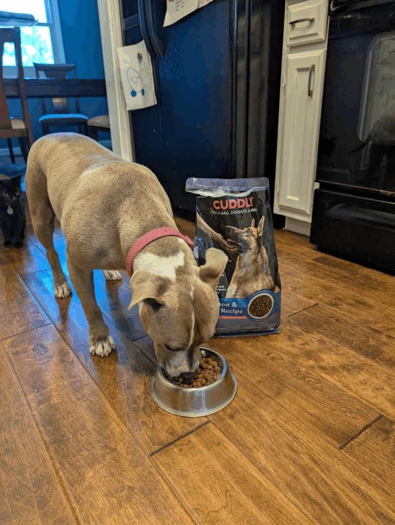 Dog eating Cuddly Salmon and Rice dog food
