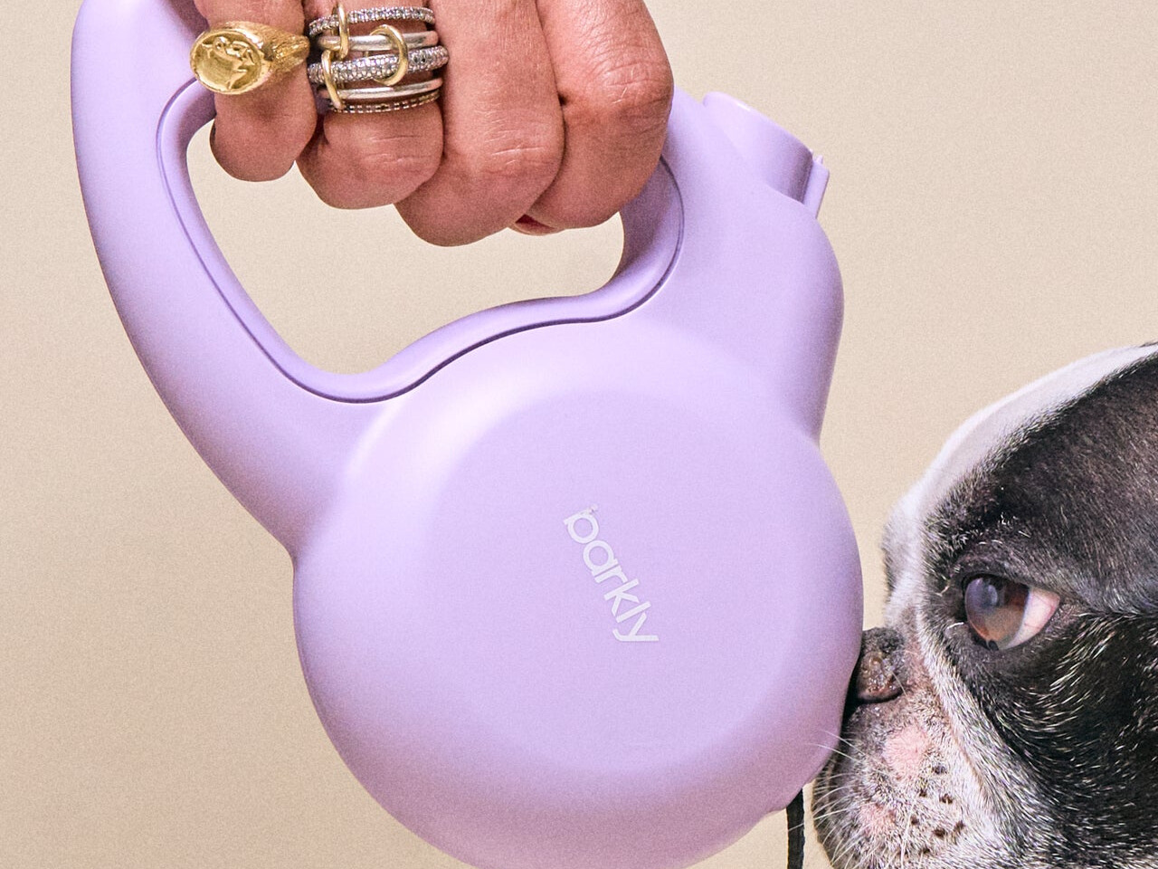 Barkly Personal Alarm Dog Leash: Our Review