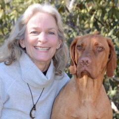 Dr. Carol Falck Vetstreet Author Photo
