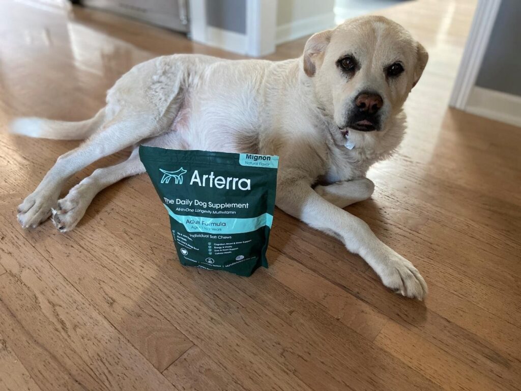 A loyal dog rests next to an Arterra Longevity Multivitamin bag.