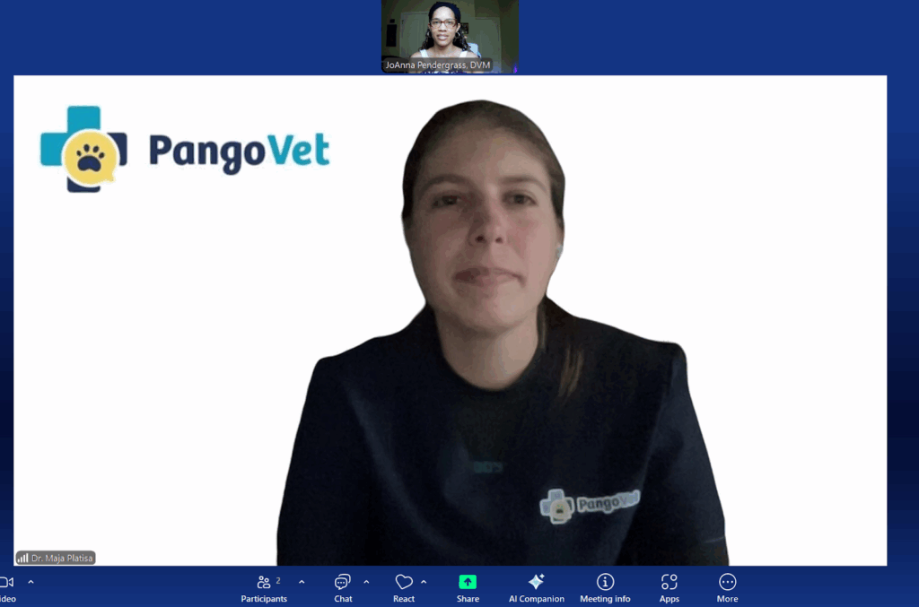 A tela de videoconsulta PangoVet com a Dra. Maja Platisa.