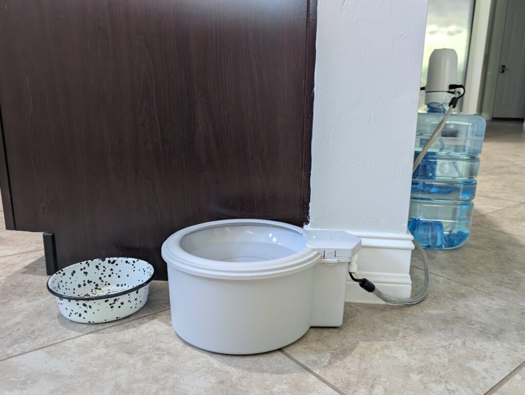 The Always Full pet water bowl set up with the bottle pump and a large water jug hidden behind a wall.
