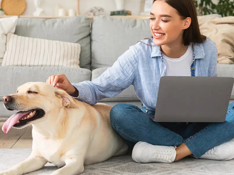 TelaVets Review: A Convenient Option for Virtual Pet Care