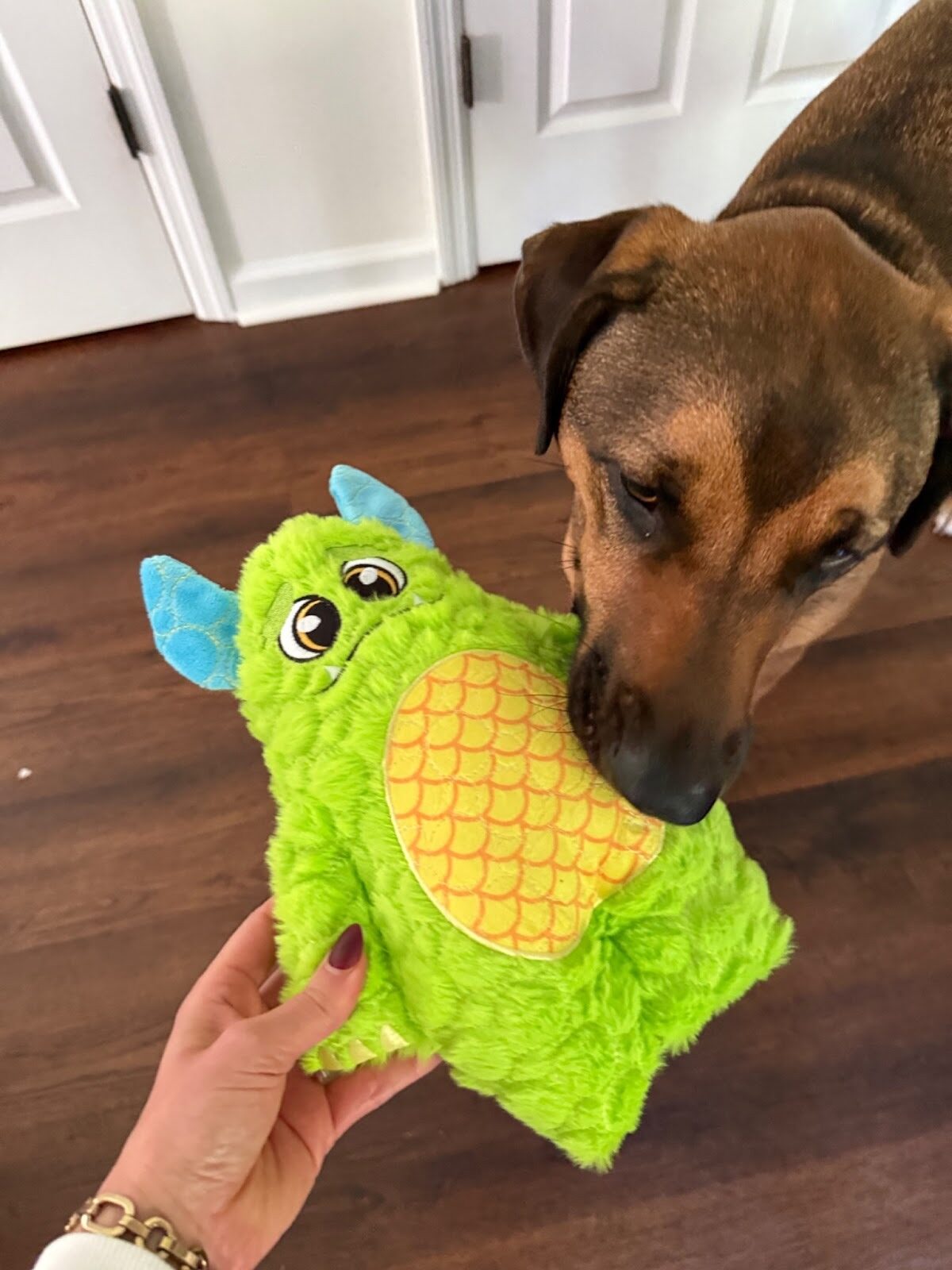 Dog sniffing bright green Bite Force toy held by owner.