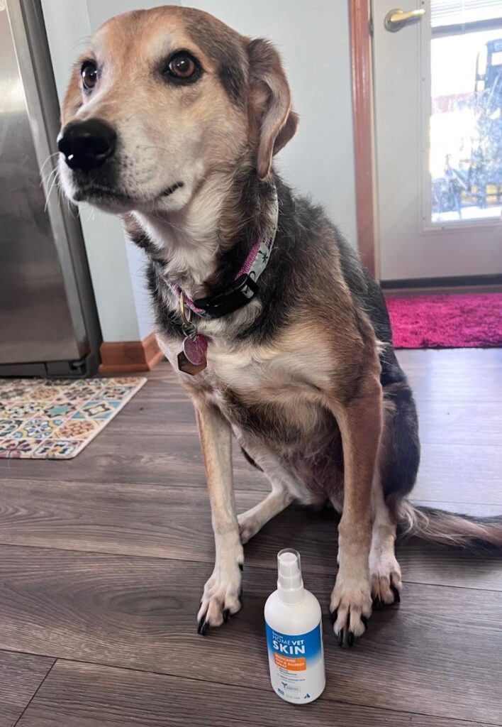 A brown and black dog, Sofía, sitting on a wooden floor next to a TropiClean itch spray bottle.
