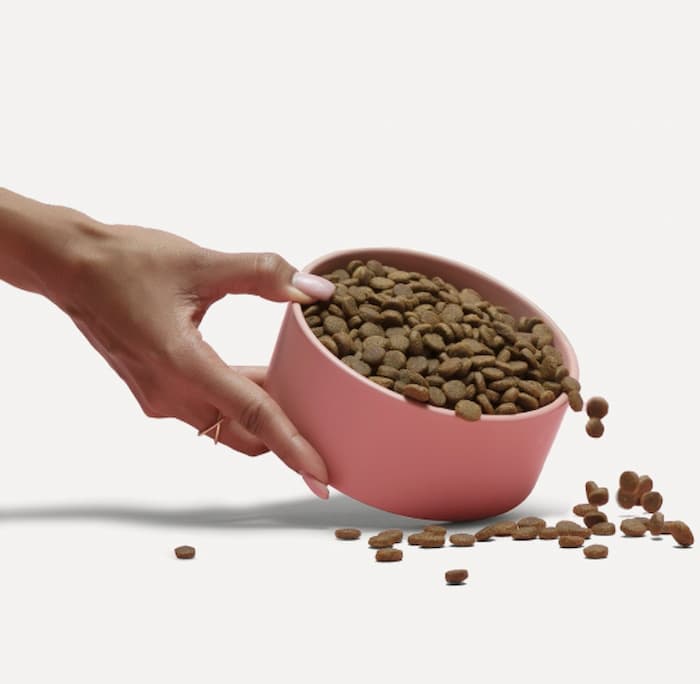 Bowl of Jinx food for dogs