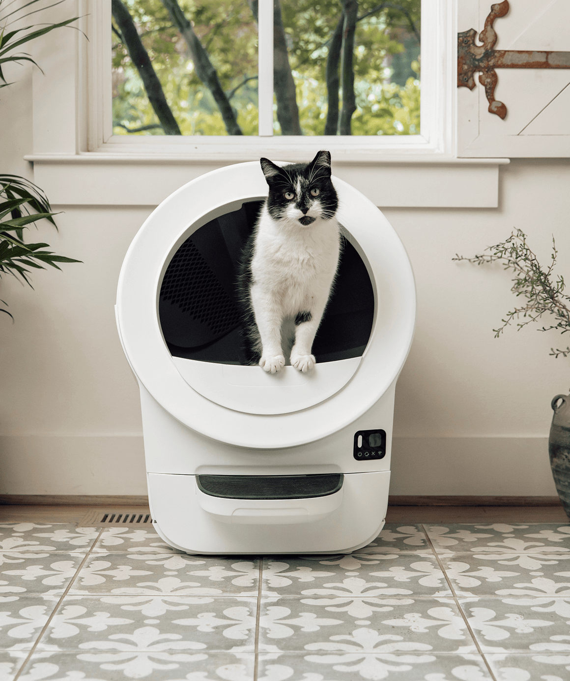 Litter-Robot EVO Review