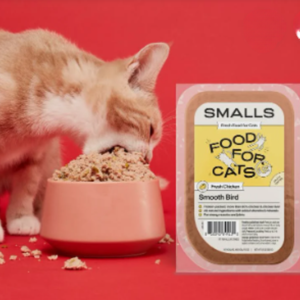 Cat eating smalls food for cats