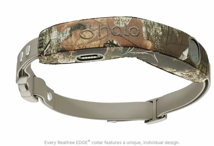 Halo Dog Collar 5