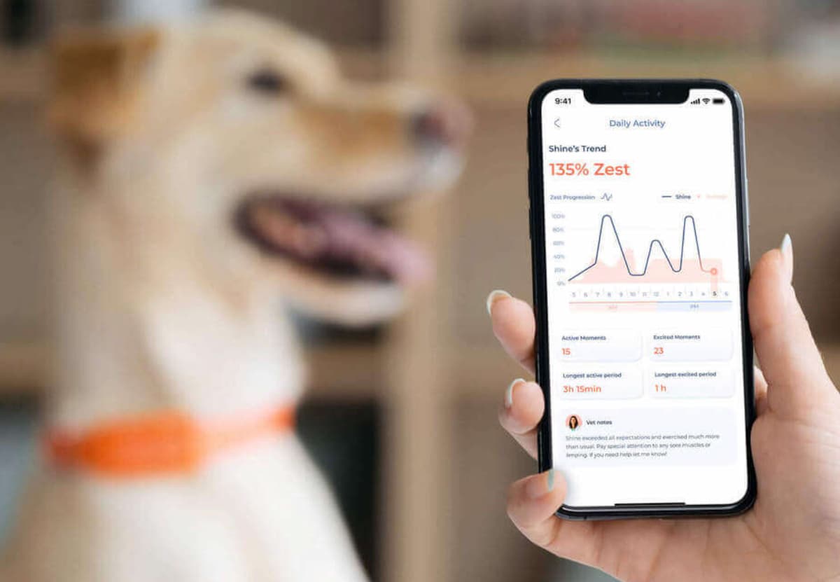 Maven Pet Smart Dog Collar Expert Veterinarian Review