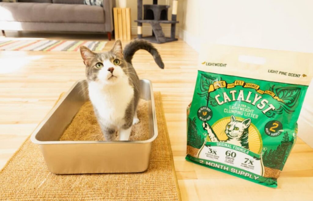 Catalyst Pet Natural Cat Litter Review