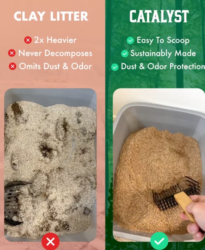 clay litter vs Catalyst Natural Pet cat litter