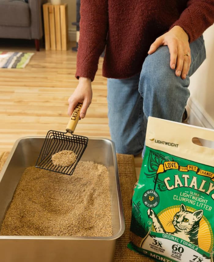 scooping from litterbox