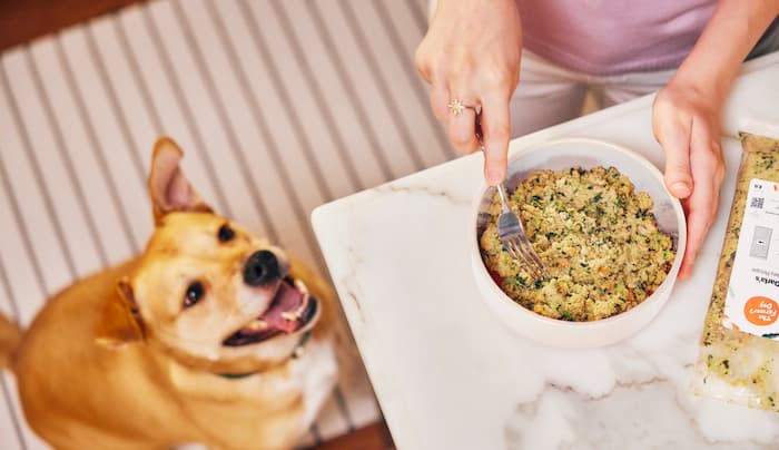 Satiety in dogs is common and there are ways to help