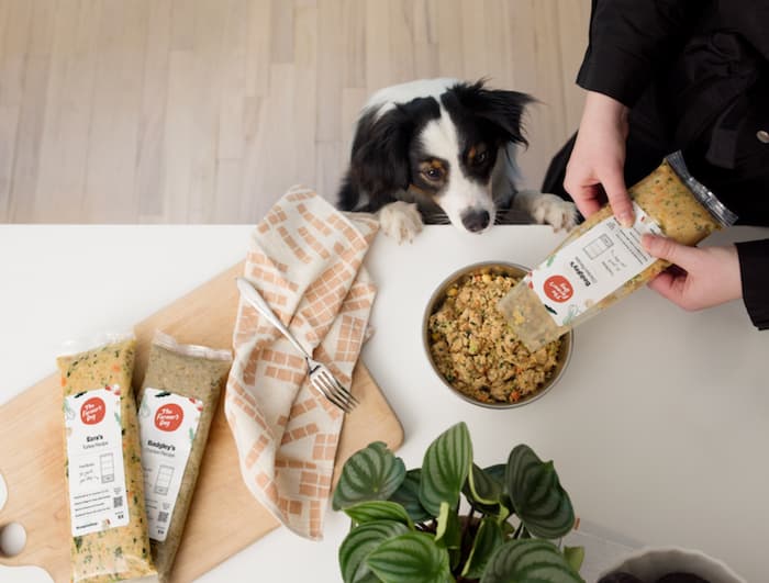 dog looks at dog food label with food