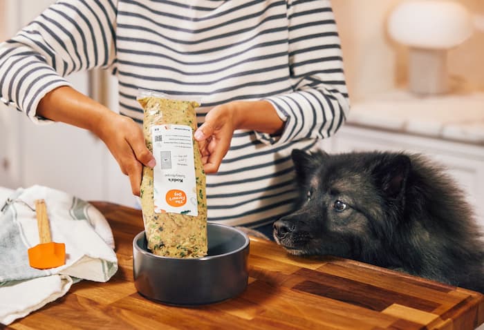 Dog looks at the bowl of The Farmer's Dog food