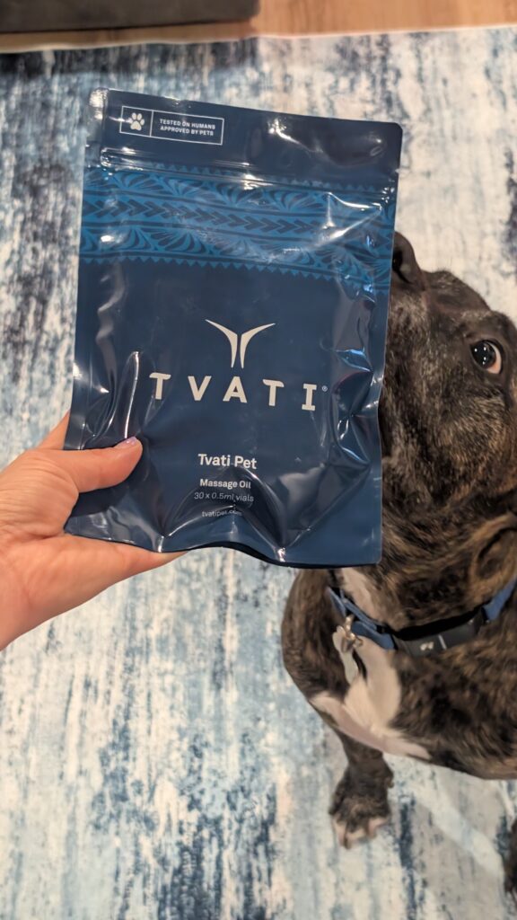 Senior dog engaged during Tvati Pet daily massage routine