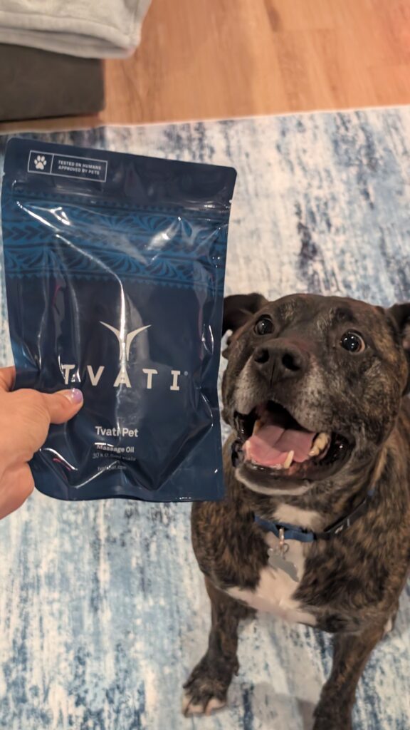 Tvati Pet Daily Mobility Formula being introduced to a senior dog