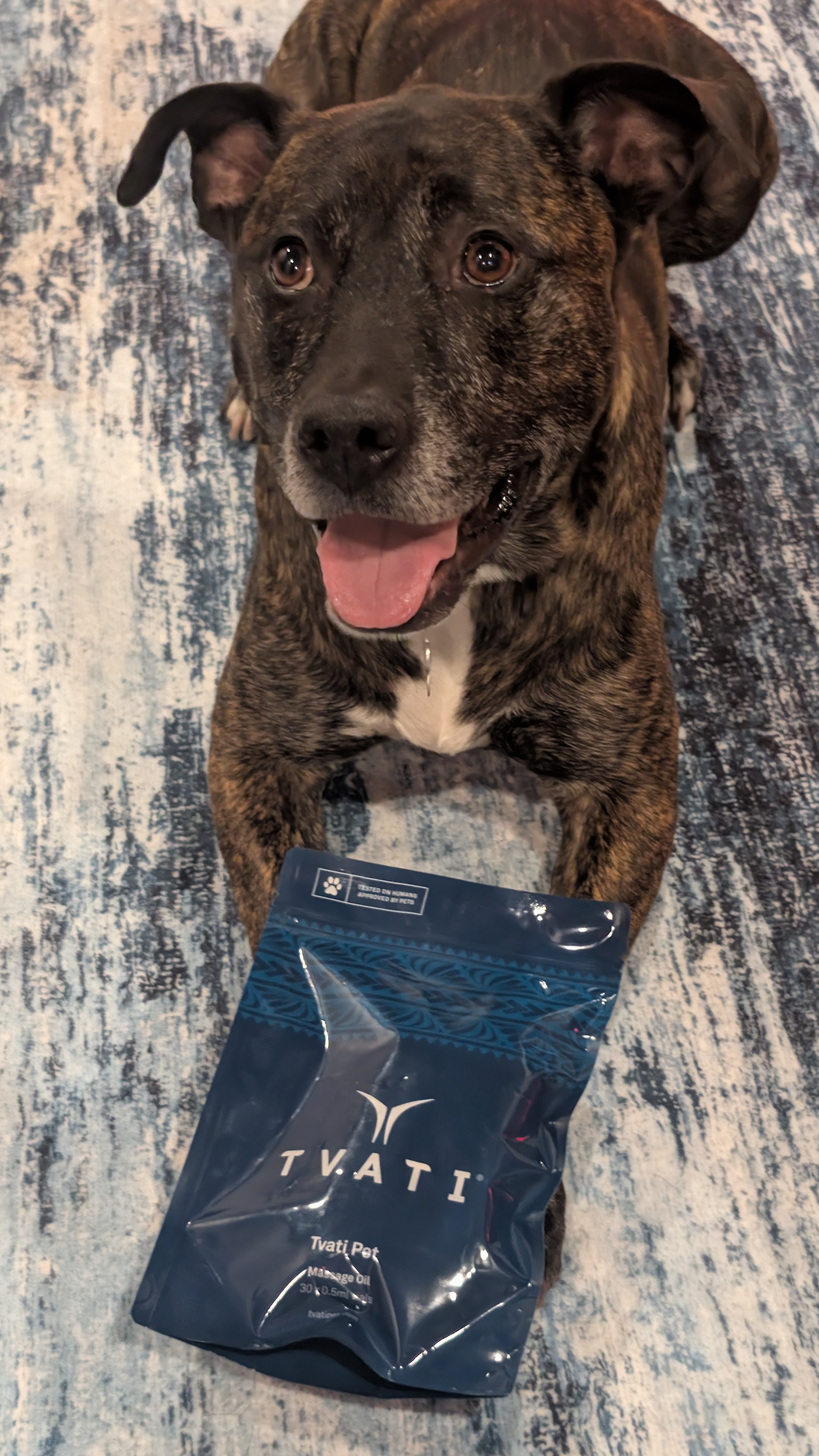 Tvati Pet Daily Mobility Formula Review: A Veterinary Take for Senior Dogs With Arthritis