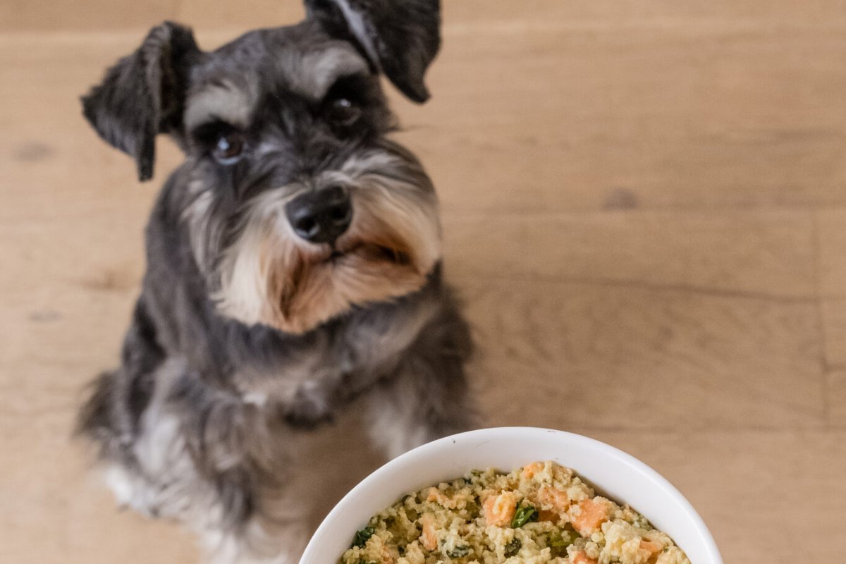 JustFoodForDogs Low Fat: Vet Recommended Diet for Dogs with Pancreatitis