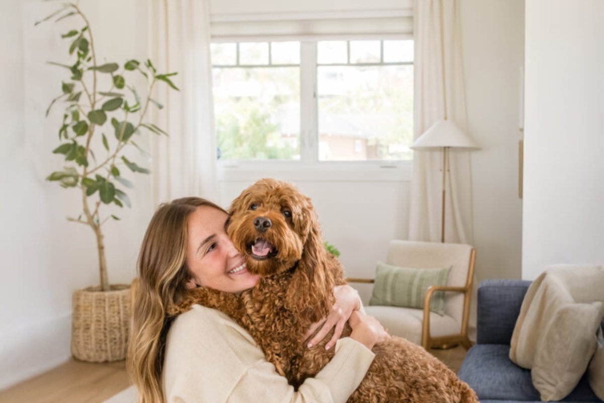 JustFoodForDogs Pantry Fresh: Is Shelf-Stable Fresh Food Worth It?