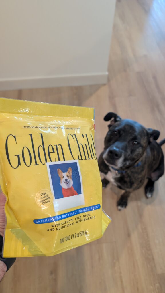 Hand holding a Golden Child Chicken and Butternut Squash Recipe pouch while a dog looks up expectantly