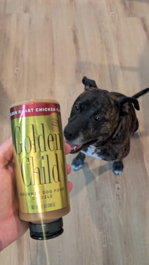 Golden Child Golden Roast Chicken Drizzle bottle held above a dog waiting for mealtime