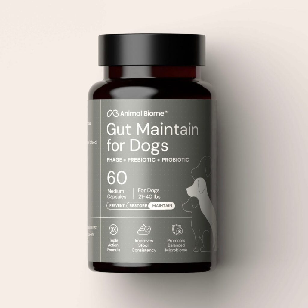 Animal Biome Gut Maintain for Dogs bottle and capsules