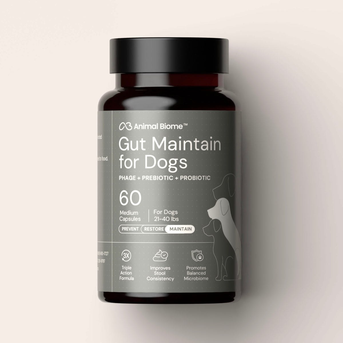 Animal Biome Gut Maintain for Dogs supplement bottle